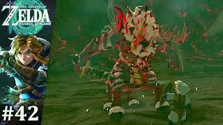 Notre meilleur ami Lynel  The Legend of Zelda Tears of the Kingdom 42 [upl. by Yreffeg860]