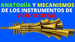 ANATOMÍA DE LOS INSTRUMENTOS DE VIENTO METAL Y SU FUNCIONAMIENTO [upl. by Westfahl223]