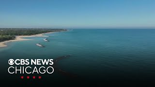 Efforts to restore shoreline at Illinois Beach State Park have paid off [upl. by Annoed]