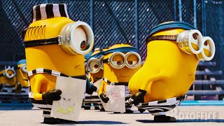 Mi villano favorito las escenas más chistosas de Minions ⚡ 4K [upl. by Von691]