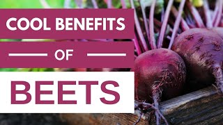 Beets The Ultimate Health Hack Uncovering the Incredible Benefits of Daily Eating [upl. by Eidoj40]