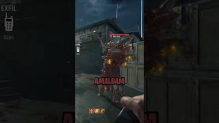 Amalgam Finishing Move in BO6 Zombies [upl. by Eivad]