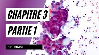 Cytologie  Chapitre 3 P1  Dr Homsi [upl. by Airod]