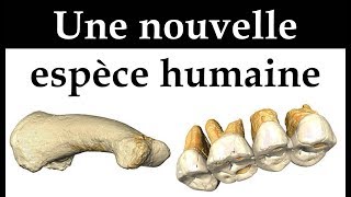 Une nouvelle espèce humaine  Homo luzonensis [upl. by Rufe166]