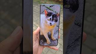 Vivo X200 Pro Camera Test 🔥 [upl. by Jenks]