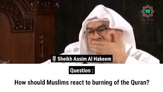 How should Muslims react to burning of the Quran  Sheikh Assim Al Hakeem [upl. by Jorie]