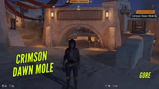 Locate the Crimson Dawn Mole in Bestine on Tatooine  Star Wars Outlaws [upl. by Suez]