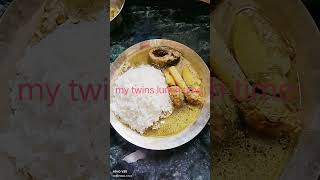 ମୋ twins ର lunch trendingshorts viralvideo cook [upl. by Pembrook348]