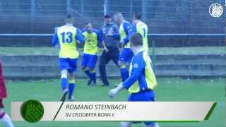 Vorschlag Tor des Monats  Romano Steinbach SV Osdorfer Born II  ELBKICKTV [upl. by Gaile]