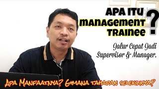 Memulai Karier dengan Management Trainee Apa itu Management Trainee [upl. by Pennington]