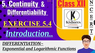 Class 12 Maths Exercise 54 Introduction  differentiation [upl. by Annahsohs]