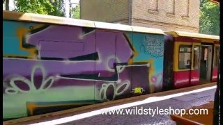 S2 Graffiti Wholecar in Berlin [upl. by Lida]