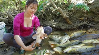 Harvesting a lots of fish from wild lakes Goes to sell fish at village markets [upl. by Treborsemaj847]