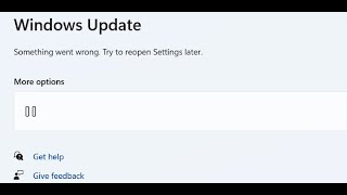 Fix Windows 11 Update Error Something Went Wrong Try To Reopen Settings Later [upl. by Nihi]