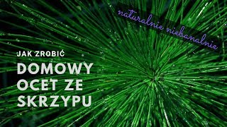 Jak zrobić ocet ze skrzypu Domowy ocet skrzypowy [upl. by Eybbob]