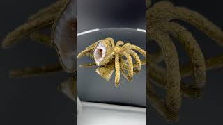 Spider Replica Plastic With Oco Geode And Crystals Copper Electroformed Brass Finished [upl. by Blunt630]