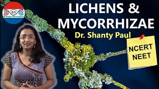 Lichens and mycorrhizae  Symbiotic relationships [upl. by Benkley]