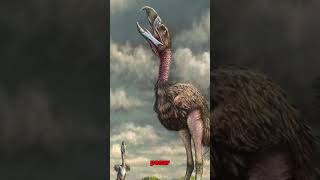 Las aves del terror  Parte 1 prehistoria curiosidades paleontologia aves carnivore [upl. by Nellie80]