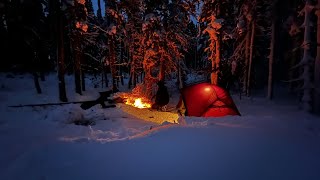 Backcountry Winter Camping in DEEP SNOW with my dogs [upl. by Jerold222]