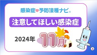 【2024年】11月に注意してほしい感染症！インフルエンザの動向に要注視 マイコプラズマ肺炎は過去最多を更新 医師「関東は伝染性紅斑に注意」 [upl. by Mihcaoj]