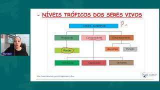 ECOLOGIA NÍVEIS TRÓFICOS [upl. by Adlaremse]