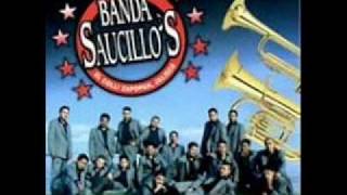 Hoy te dire  Banda Saucillos [upl. by Etnaud]