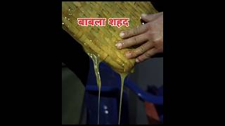 इस शहद☠️ को भूल कर भी मत खाना  Never Eat Mad Honey 🍯 llFactsMine trending factsshortsshort [upl. by Trefler]