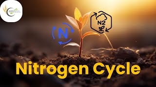 Nitrogen Cycle  Biological Nitrogen Fixation  Microorganisms  Fertilizer Role  PlantNutrients [upl. by France441]