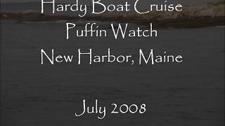 Hardy Boat Cruise Puffin Watch Tour New Harbor Pemaquid Maine [upl. by Alien]