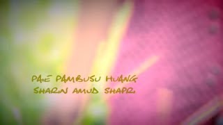 Paie Pambusu Huang Official Music Video Sharin Amud Shapri [upl. by Rebecca]