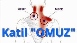 OMUZ 👉 SIRTIMDAKİ YÜK  GEÇMEYEN SIRT AĞRILARI  Fizyoterapist Aynur BAŞ [upl. by Tolland]