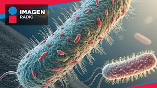 ¿Qué se sabe de la bacteria klebsiella oxytoca detectada en hospitales del Edomex [upl. by Hplodnar77]