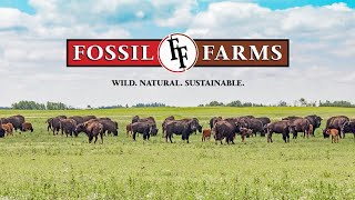 Fossil Farms Game amp All Natural Meats Company  Fossil Farms [upl. by Reeves98]