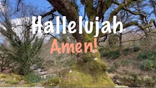 Hallelujah Amen  Original Song  Myles Willis demo [upl. by Jaddan572]