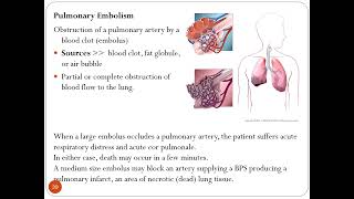 THORAX CLINICALS PPT  Part I  Dr M Kamran Ameer [upl. by Bainter]