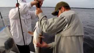 Sanibel Fishing Charters 2392463579 Anglers Choice Outfitters [upl. by Eisinger]