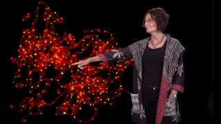 Titia de Lange Rockefeller U 2 How telomeres solve the endprotection problem [upl. by Anual]