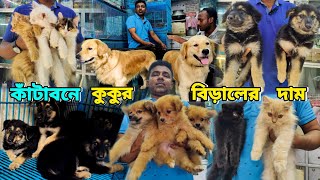 Dog And Cat price in Bangladesh  কাঁটাবনে কুকুর ও বিড়ালের দাম  Pomeranian Dog Price  Persian cat [upl. by Mena]