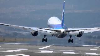 Crosswind Landings of 21 Airplanes at OSAKA Airport [upl. by Odicalp223]