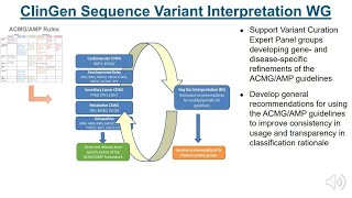 QampA  Variant Classification using ACMGAMP Guidelines Steven Harrison [upl. by Ardnohsed]