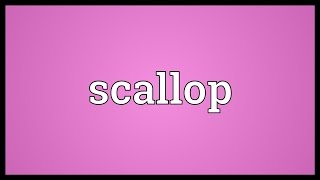 Scallop Meaning [upl. by Neelloc]