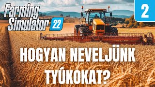 Mit kell tudni a tyúkokról és tojásokról  Tutorial 2  Farming Simulator 22 [upl. by Nosnev]