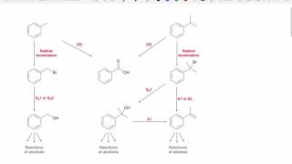 Reactions at the Benzylic Position and Reduction of Aromatic Compounds [upl. by Nattirb231]