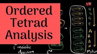 Tetrad AnalysisPart IOrdered Tetrad Analysis [upl. by Fransen]