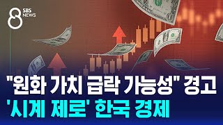 quot원화 가치 급락 가능성quot 경고…시계 제로 한국 경제  SBS 특집 8뉴스 [upl. by Iaras155]