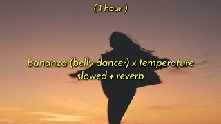 1 Hour  Bananza belly dancer x temperature slowedreverb tiktok version [upl. by Trenton]