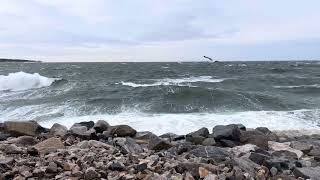 Bearskin Neck Rockport MA Storm Waves [upl. by Eimarrej]