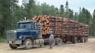 The Forestry Industry in Atlantic Canada [upl. by Stepha]