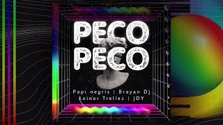 PECO PECO❌ PAPI NEGRIS  BRAYAN DJ  LEINER TRELLEZ  JDY [upl. by Remliw]