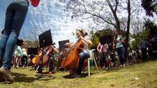 Flash Mob Curtin University amp Perth Symphony Orchestra [upl. by Derrej]